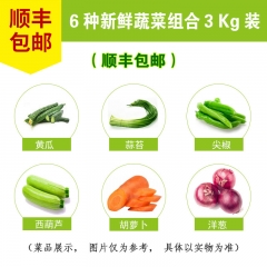 蔬菜套菜A（8种10斤 蒜苔洋葱胡萝卜黄瓜尖椒西葫芦） 箱 6斤/箱