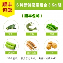 蔬菜套菜B（6种6斤 豆角铁杆山药土豆黄瓜尖椒西葫芦） 箱 6斤/箱
